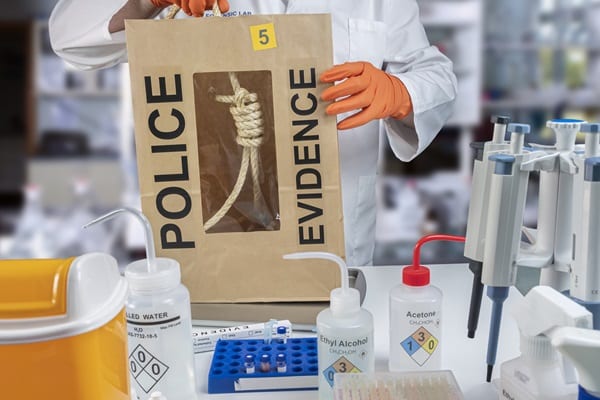 The Death Penalty in America