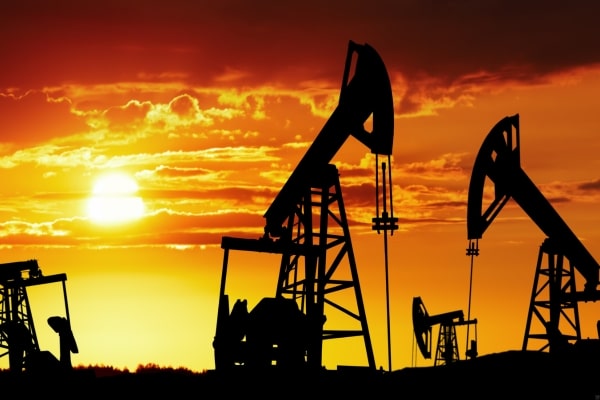 The First 100 Days of the Trump Administration