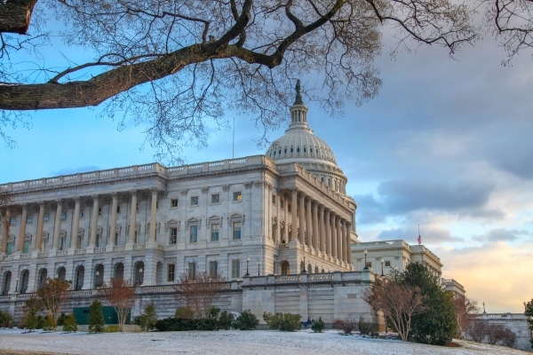 Tulsi Gabbard’s Nomination